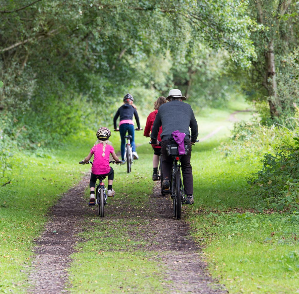family of four cycling on a woodland path