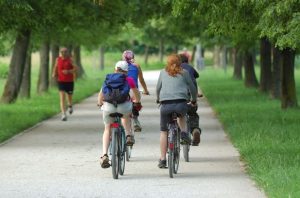 image shows a group of people cycling together in the park