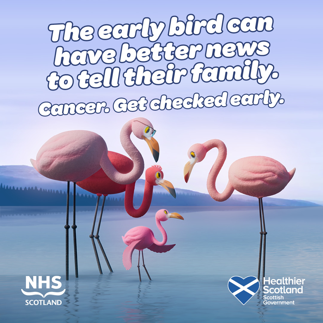 Cartoon family of flamingos